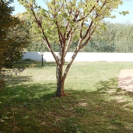 Iara * Olbia